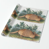 Nijnbanded Armadillo (Dasypus Peba) Illustratie Cadeaupapier (Uitgerold)