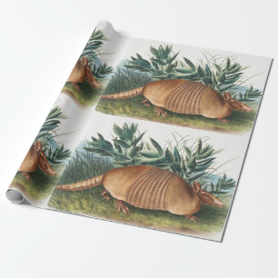 Nijnbanded Armadillo (Dasypus Peba) Illustratie Cadeaupapier