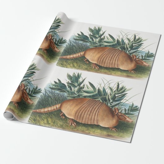 Nijnbanded Armadillo (Dasypus Peba) Illustratie Cadeaupapier (Uitgerold)