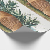 Nijnbanded Armadillo (Dasypus Peba) Illustratie Cadeaupapier (Hoek)