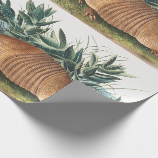 Nijnbanded Armadillo (Dasypus Peba) Illustratie Cadeaupapier (Hoek)