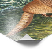 Nijnbanded Armadillo (Dasypus Peba) Illustratie Foto Afdruk (Hoek)