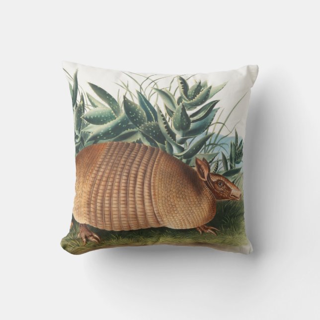 Nijnbanded Armadillo (Dasypus Peba) Illustratie Kussen (Voorkant)