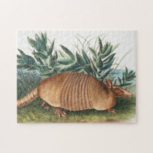 Nijnbanded Armadillo (Dasypus Peba) Illustratie Legpuzzel