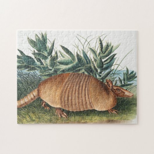Nijnbanded Armadillo (Dasypus Peba) Illustratie Legpuzzel (Horizontaal)
