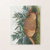 Nijnbanded Armadillo (Dasypus Peba) Illustratie Legpuzzel (Verticaal)