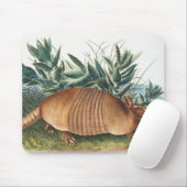 Nijnbanded Armadillo (Dasypus Peba) Illustratie Muismat (Met muis)