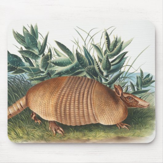 Nijnbanded Armadillo (Dasypus Peba) Illustratie Muismat (Voorkant)