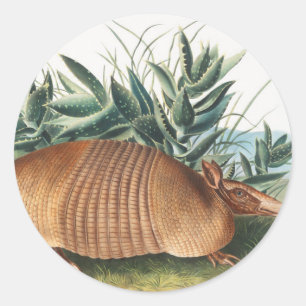 Nijnbanded Armadillo (Dasypus Peba) Illustratie Ronde Sticker