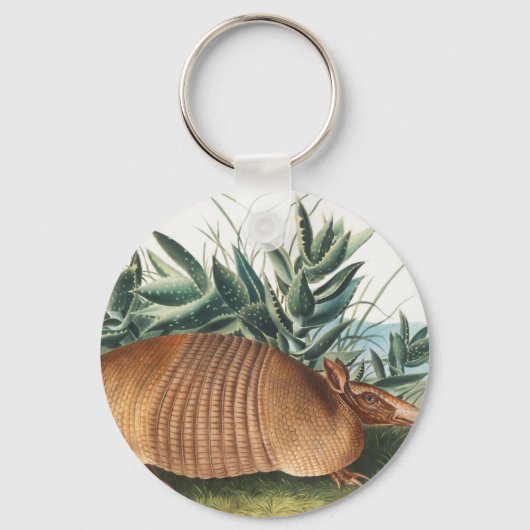 Nijnbanded Armadillo (Dasypus Peba) Illustratie Sleutelhanger (Voorkant)