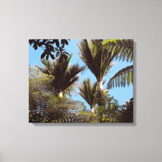 Nikau Palms Groeien in de Waitakere Ranges Canvas Afdruk (Voorkant)