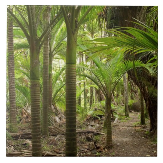 Nikau Palms, Heaphy Track, bij Karamea Tegeltje (Voorkant)