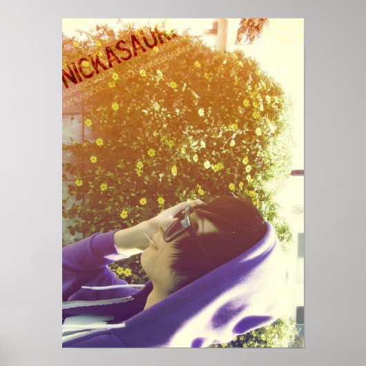 nikkel! Poster (Voorkant)