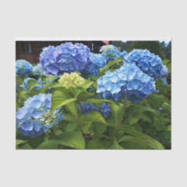 Nikko Blauwe Hortensia Bloem Decoupage Ambacht Tissuepapier