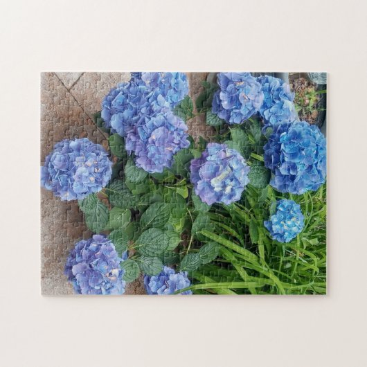 Nikko Blue Hydrangea Bloem Foto Legpuzzel (Horizontaal)