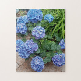 Nikko Blue Hydrangea Bloem Foto Legpuzzel
