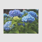 Nikko Blue Hydrangea-ventilatorboot Tissuepapier (Voorkant)