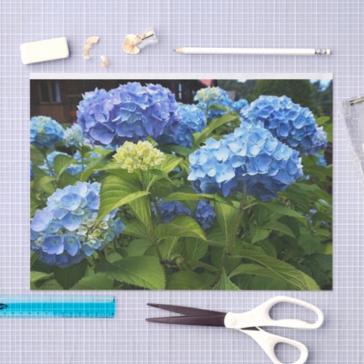 Nikko Blue Hydrangea-ventilatorboot Tissuepapier (Craft)