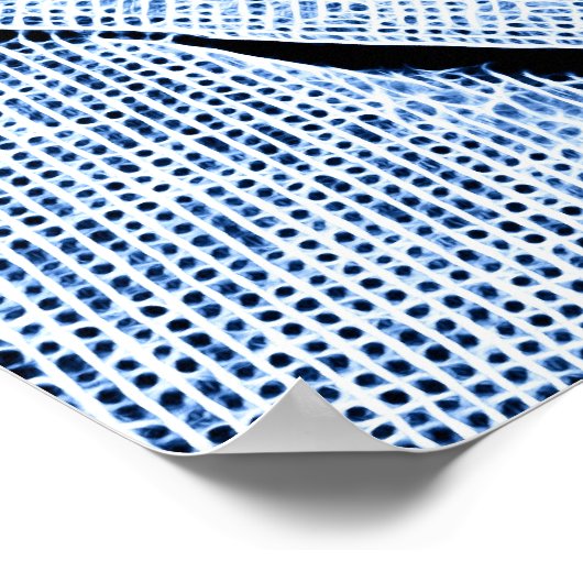 Nikloa Tesla Poster (Hoek)