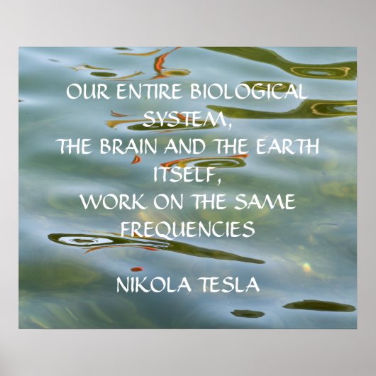 NIKOLA TESLA CITAA - ZELFDE FREQUENTIES - POSTER (Voorkant)