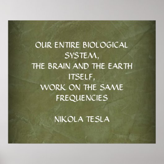 NIKOLA TESLA CITAT - ZELFDE FREQUENTIES - POSTER (Voorkant)