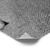 Nikola Tesla Portrait Poster (Hoek)