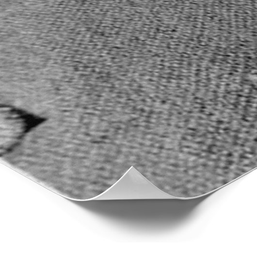 Nikola Tesla Portrait Poster (Hoek)