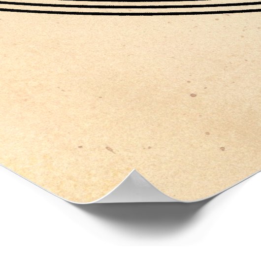 Nikola Tesla Poster (Hoek)