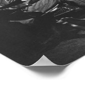 Nikola Tesla Poster (Hoek)