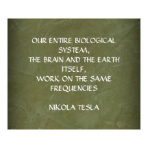 NIKOLA TESLA QUOTE - DEZELFDE FREQUENTIES -