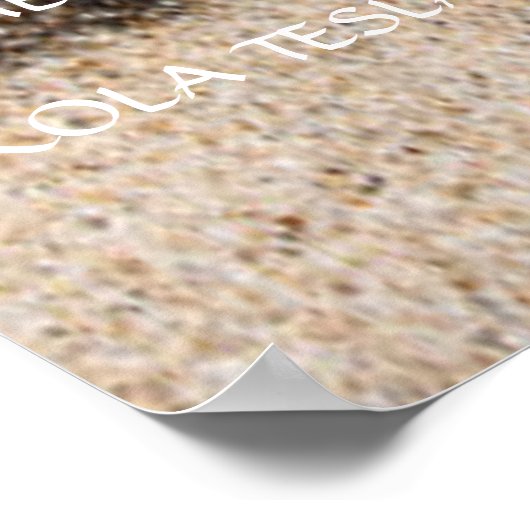 NIKOLA TESLA QUOTE - DEZELFDE FREQUENTIES - POSTER (Hoek)