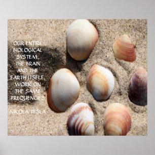 NIKOLA TESLA QUOTE - DEZELFDE FREQUENTIES - POSTER