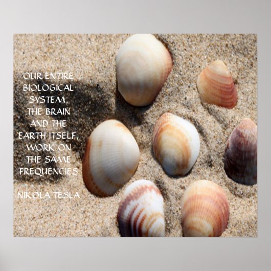 NIKOLA TESLA QUOTE - DEZELFDE FREQUENTIES - POSTER (Voorkant)