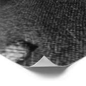 Nikola Tesla Quote Poster (Hoek)