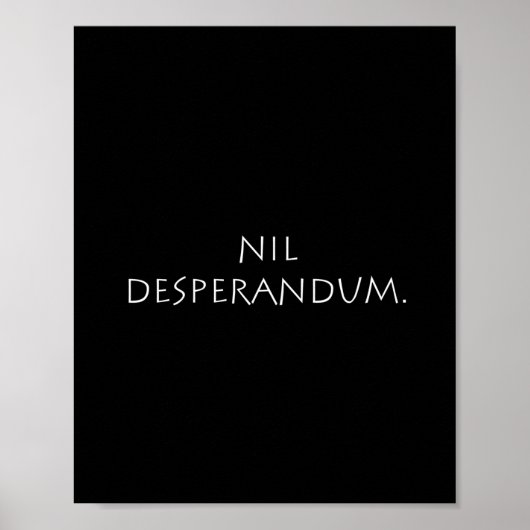 Nil DesperPro Poster (Voorkant)