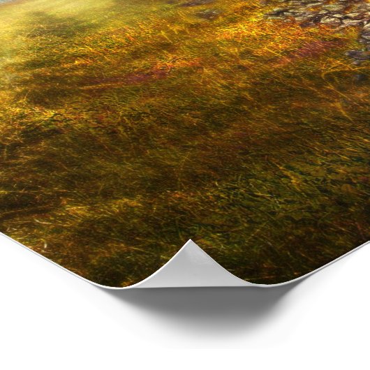 nil novi subsole ( najaar ) - Poster (Hoek)