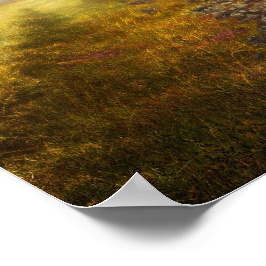 nil novi subsole ( najaar ) - Poster (Hoek)