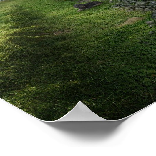 nil novi subsole - Poster (Hoek)