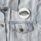 Nile Tilapia Button (In situ)