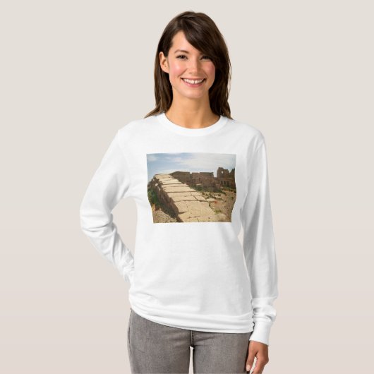Nilometer van de Mortuary T-shirt (Voorkant volledig)