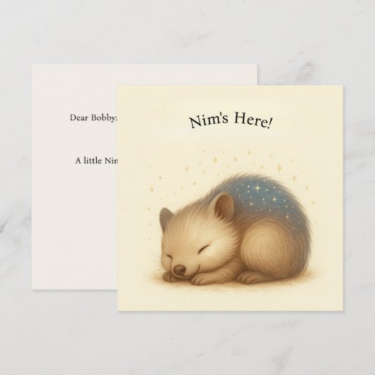 Nim Naps  Comfort Serie Kaart (Voorkant / Achterkant)