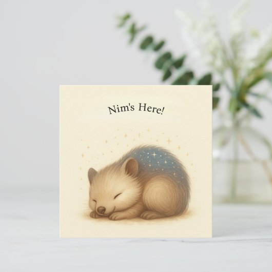 Nim Naps  Comfort Serie Kaart (Staand voorkant)