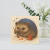 Nim Paints  Comfort Serie Kaart (Staand voorkant)