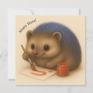 Nim Paints  Comfort Serie Kaart