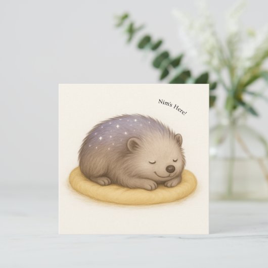 Nim slaapt  Comfort Series Kaart (Staand voorkant)