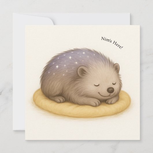 Nim slaapt Comfort Series Kaart (Voorkant)