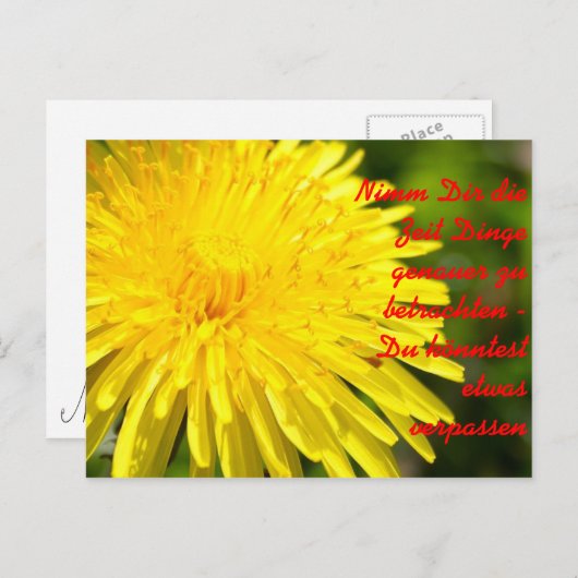 Nimm Dir die Zeit Dinge genauer zu b... Briefkaart (Voorkant / Achterkant)