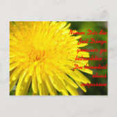 Nimm Dir die Zeit Dinge genauer zu b... Briefkaart