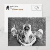 Nimrod met Feet Briefkaart (Voorkant / Achterkant)