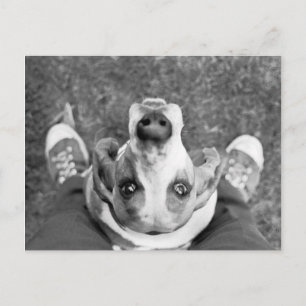 Nimrod met Feet Briefkaart